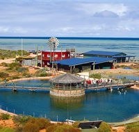 Ocean Park Aquarium - Accommodation VIC