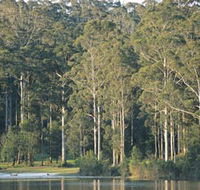 Big Brook Dam - Accommodation VIC