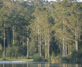 Big Brook Dam - Accommodation VIC 0