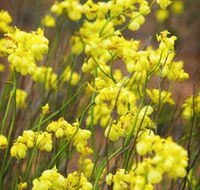 Mount Madden Scenic Drive - Accommodation VIC