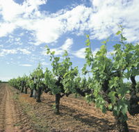 Blackwood Meadery - Accommodation VIC