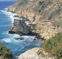 Island Rock and Natural Bridge - Accommodation VIC
