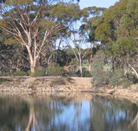 Merredin Railway Dam - Accommodation VIC