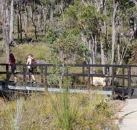 Forest Path Crooked Brook - Accommodation VIC