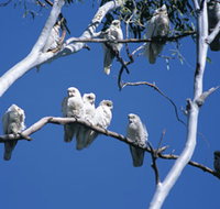 Carawine Gorge - Accommodation VIC