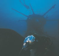 Swan Dive Wreck - Accommodation VIC