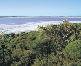Pink Lake - Accommodation VIC 0
