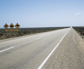 Eyre Highway - Accommodation VIC 0