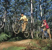 Leeuwin-Naturaliste National Park - Cowaramup - Accommodation VIC