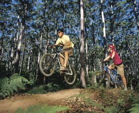 Leeuwin-Naturaliste National Park - Cowaramup - Accommodation VIC 0