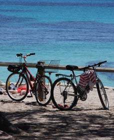 Parker Point Marine Snorkel Trail - Accommodation VIC 0