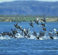 Ord River - Accommodation VIC