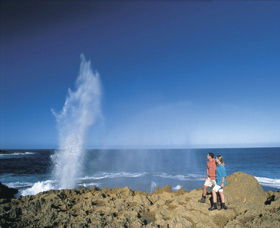 The Blowholes Carnarvon - Accommodation VIC 0