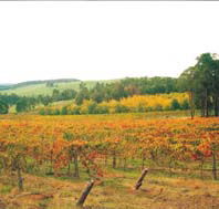 Byramgou Park - Accommodation VIC