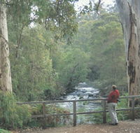 Cascades - Accommodation VIC