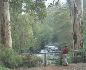 Cascades - Accommodation VIC 0
