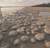 Yalgorup National Park - Accommodation VIC