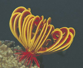 Muiron Islands - Accommodation VIC 0