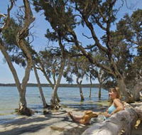 Stokes National Park - Accommodation VIC