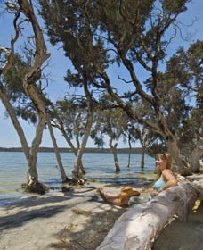 Stokes National Park - Accommodation VIC 0