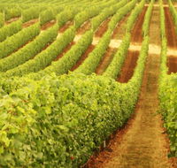 MadFish Wines Margaret River - Accommodation VIC