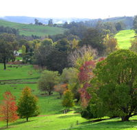 Golden Valley Tree Park - Accommodation VIC