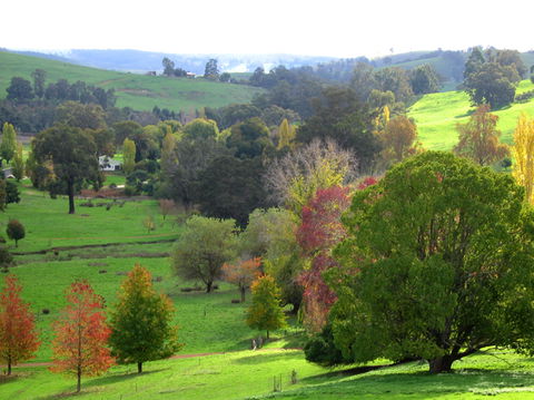 Golden Valley Tree Park - Accommodation VIC 0