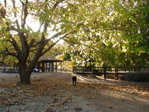 Golden Valley Tree Park - Accommodation VIC 1