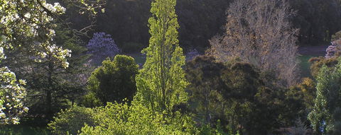 Golden Valley Tree Park - Accommodation VIC 3
