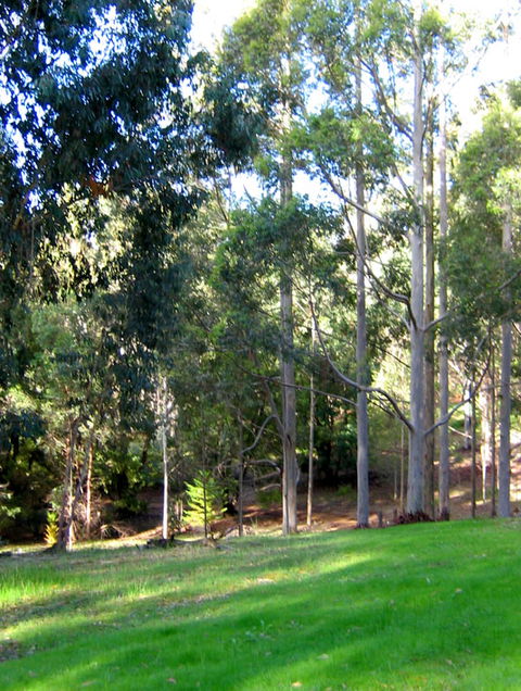 Golden Valley Tree Park - Accommodation VIC 6