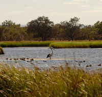 Anytime Adventures in Mandurah  the Peel Region - Accommodation VIC