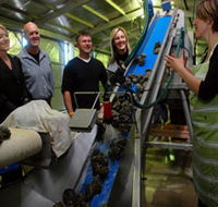 Eyre Peninsula's Seafood Trail - Accommodation VIC