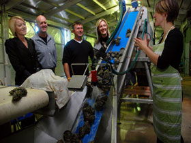 Eyre Peninsula's Seafood Trail - Accommodation VIC 0