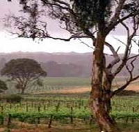 Yangarra Estate Vineyard - Accommodation VIC