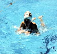 Mount Gambier Aquatic Centre - Accommodation VIC