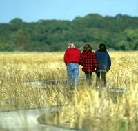 Onkaparinga River Recreation Park - Accommodation VIC