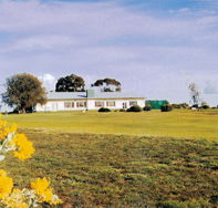 Lucindale Country Club - Accommodation VIC