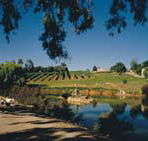 Mount Hurtle Winery home of Geoff Merrill Wines - Accommodation VIC