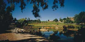 Mount Hurtle Winery Home Of Geoff Merrill Wines - Accommodation VIC 0