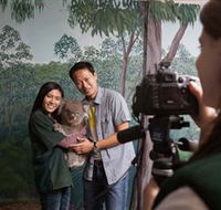 Cleland Wildlife Park - Accommodation VIC