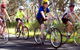 Penola Cycling Trails - thumb 0
