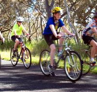 Penola Cycling Trails - Accommodation VIC