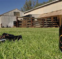 Wilkadene Woolshed Brewery - Accommodation VIC