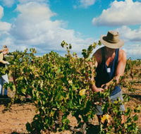 Torbreck Vintners - Accommodation VIC