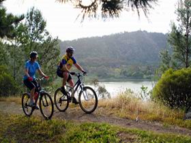 Mount Gambier Crater Lakes Mountain Bike Trail - Accommodation VIC 0