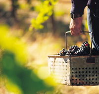 Burge Family Winemakers - Accommodation VIC