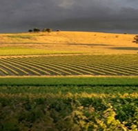 Kellermeister Wines - Accommodation VIC