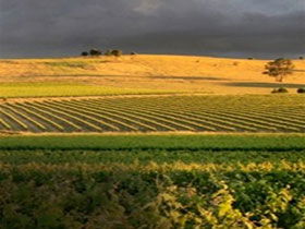 Kellermeister Wines - Accommodation VIC 0