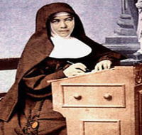 Mary MacKillop Penola Centre - Accommodation VIC