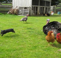 Echo Farm - Accommodation VIC